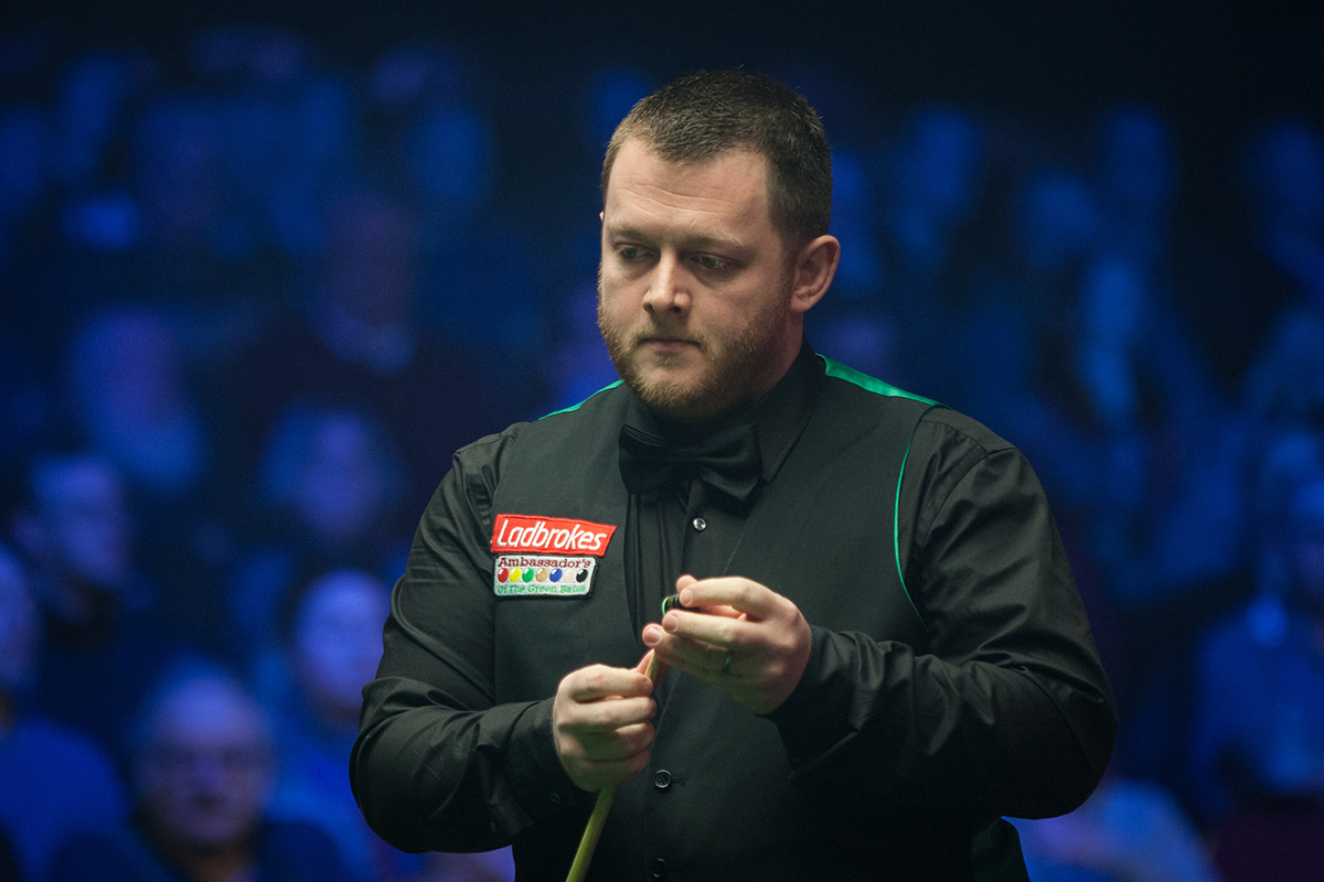 的比例进行 的比例进行