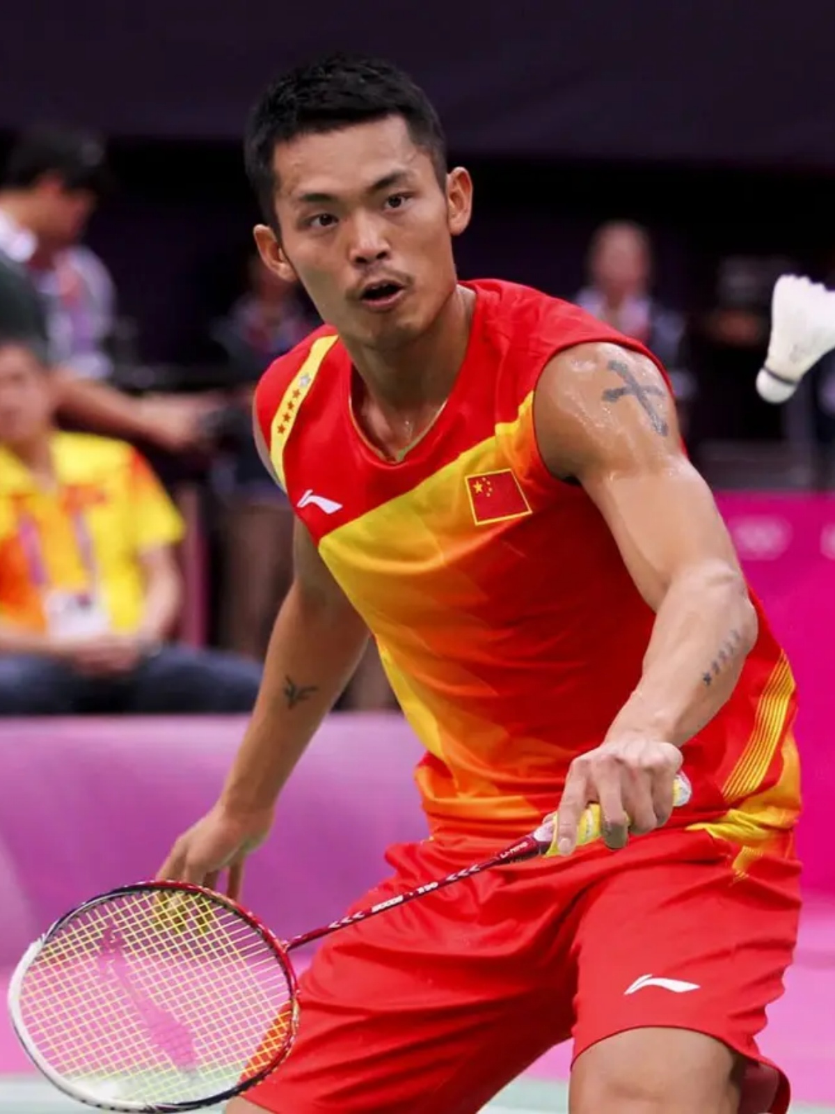 塑造了这项 塑造了这项